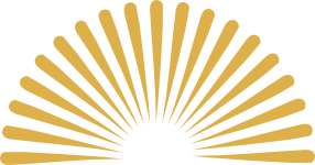 Logo Icon